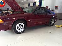 Click image for larger version

Name:	IHRA Mustang GT 11.JPG
Views:	548
Size:	114.1 KB
ID:	31813
