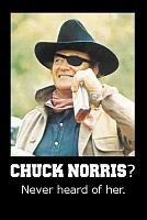Click image for larger version

Name:	ChuckNorris.jpg
Views:	159
Size:	29.1 KB
ID:	43885