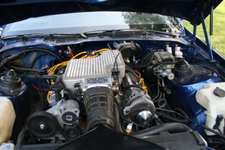 383 ported polished balanced blueprinted 8000 in motor alone ony a few hundred miles since build 354 rwhp 525 ftlbs torque